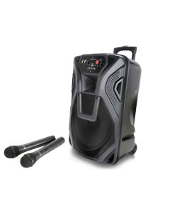 Głośnik Bluetooth QTX Sound Busker-15 z USB/SD/FM i 2 mikrofonami