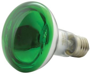 QTX R80 Zielona lampa reflektorowa E27