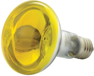 QTX R80 Żółta lampa reflektorowa E27